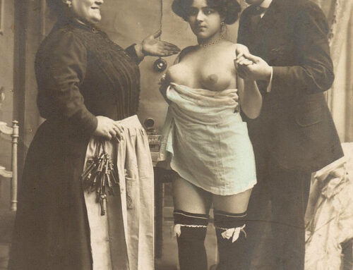 ΕΝΑ ΕΓΚΥΚΛΟΠΑΙΔΙΚΟ ΛΕΞΙΚΟ ΤΗΣ ΠΟΡΝΕΙΑΣ;